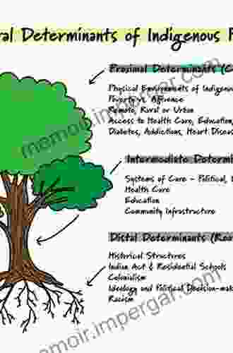 Social Determinants Of Indigenous Health